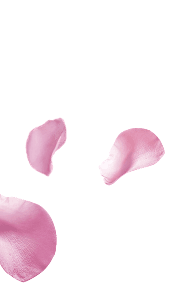 power simplicity petals